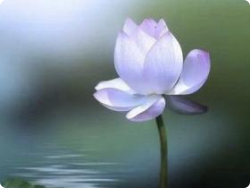 阴德厚重的人，往往会有这五大特征，你身上有吗？