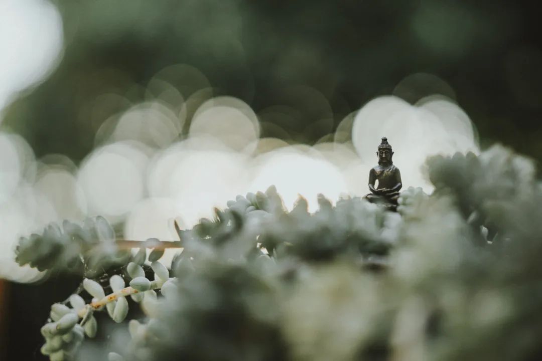 修善积德才能改命，来看看古人积阴德的事迹-图片4